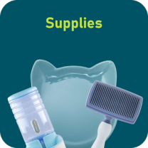 10_e2cec245-0f22-4281-a1c1-e1f3a20c1385_360x