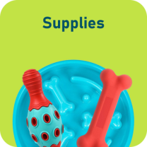 25_ec30ec3b-18f8-4163-ab18-8a74b0454d87_360x