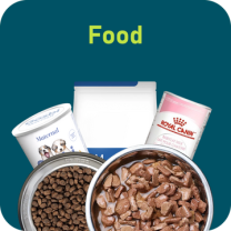 32_ec77eb20-fdec-469f-a9ca-09111a09d91c_360x