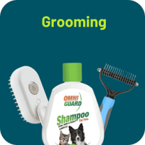 Below_99_LE_12_a9a939d9-bd30-4c23-89b6-6adbd7154577_360x